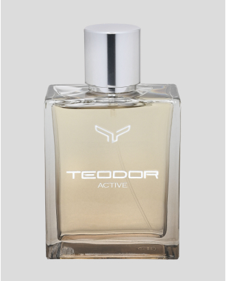 МЪЖКИ ПАРФЮМ TEODOR AKTIVE 100 ML