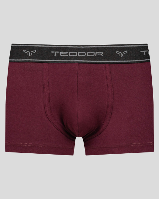 'БОКСЕР С ВЪНШЕН ЛАСТИК И ЛОГО В ЦВЯТ БОРДО